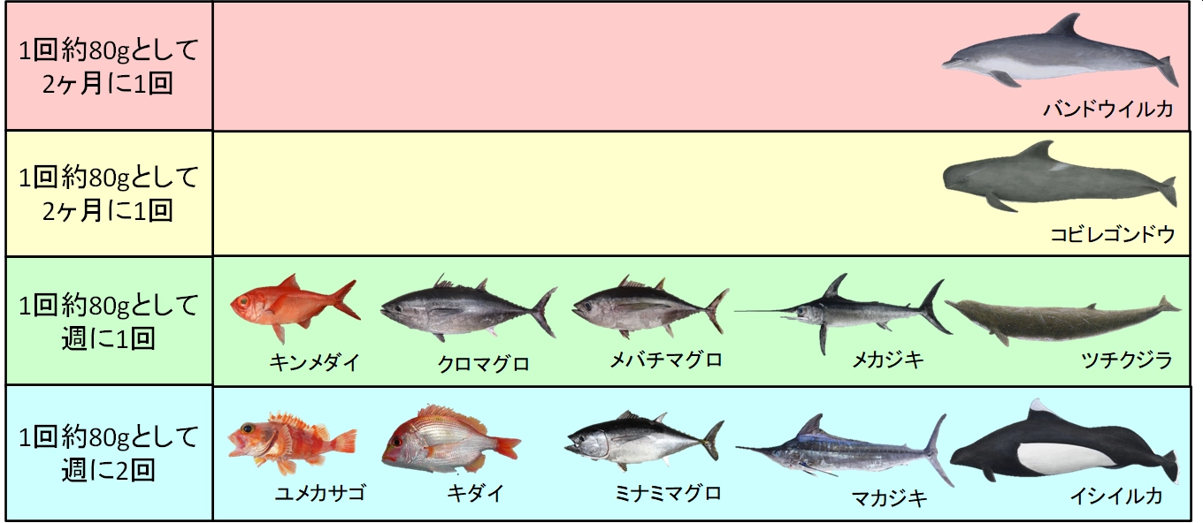 水銀含有量が多い魚と少ない魚 食べたら危険な魚は何か ねほり Com